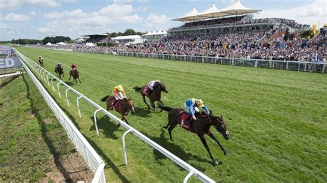 goodwood betting today|Live: Goodwood Racing Tips, Fast Results, Racecards & Odds.